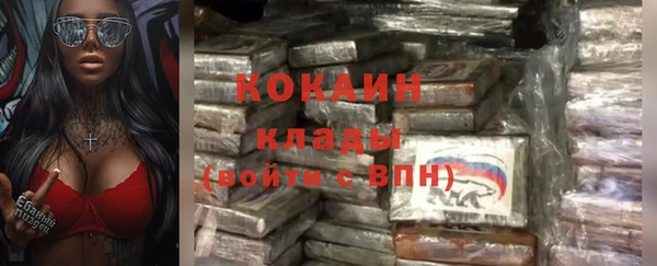 тгк Бронницы