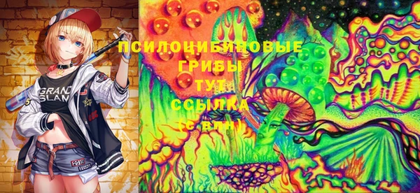 тгк Бронницы